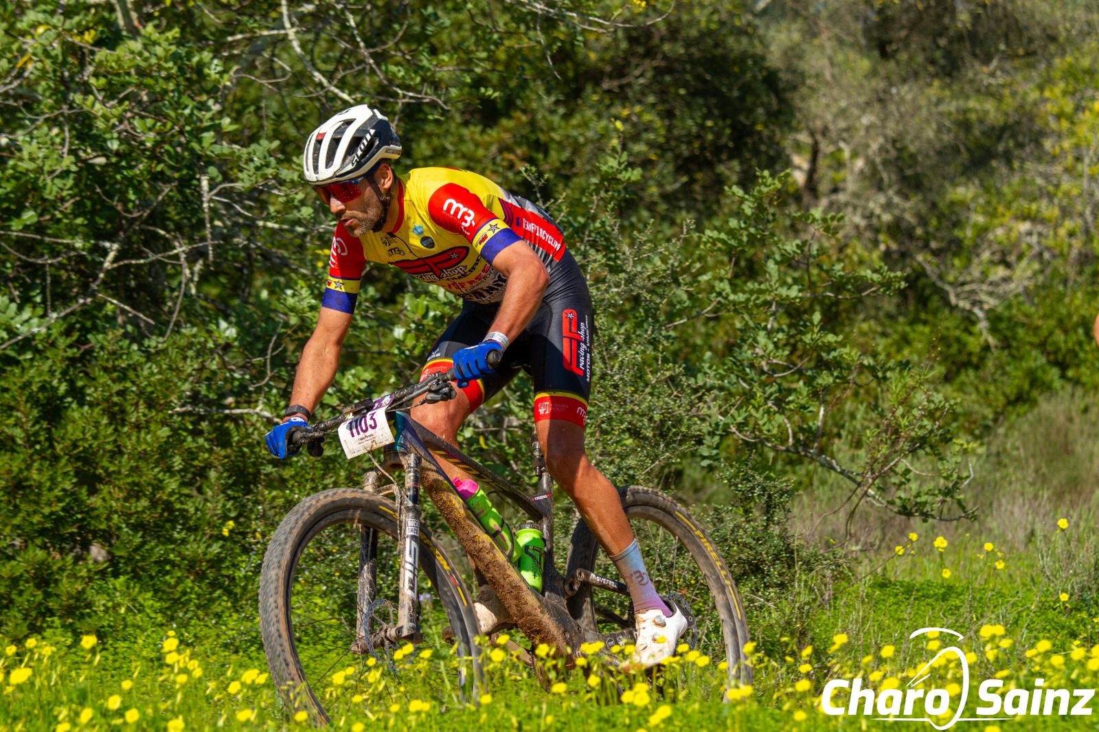 18458c2f-a195-4e3a-b247-dab16a8833bb